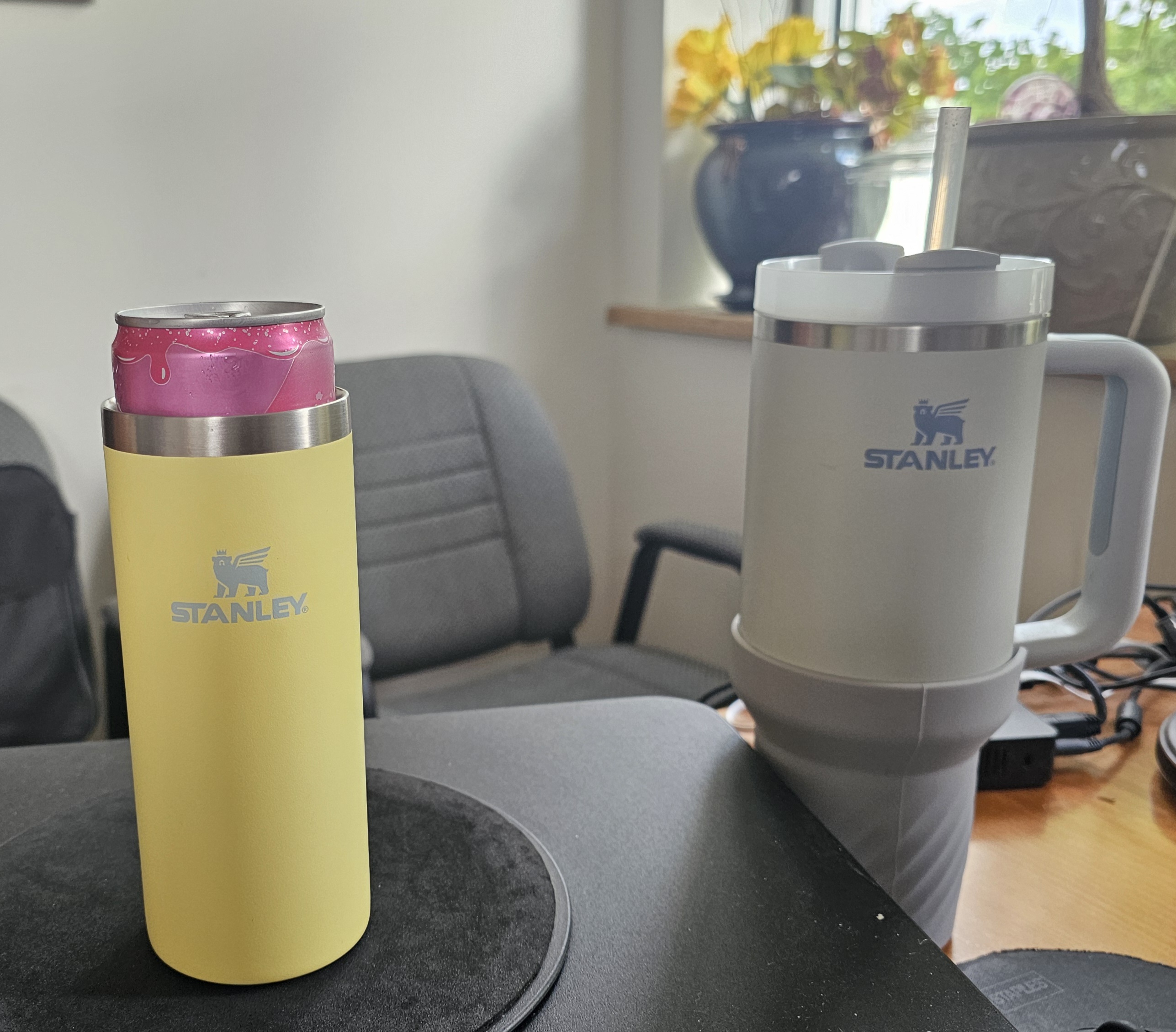 Stanley The Everyday 10 oz Slim Can Cooler Cup | SCHEELS.com
