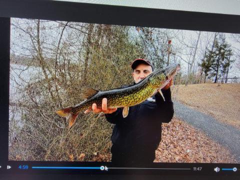 Owner Wide Gap Plus Hook | Bass Pro Shops Owner Wide Gap Plus Hook | Bass Pro Shops