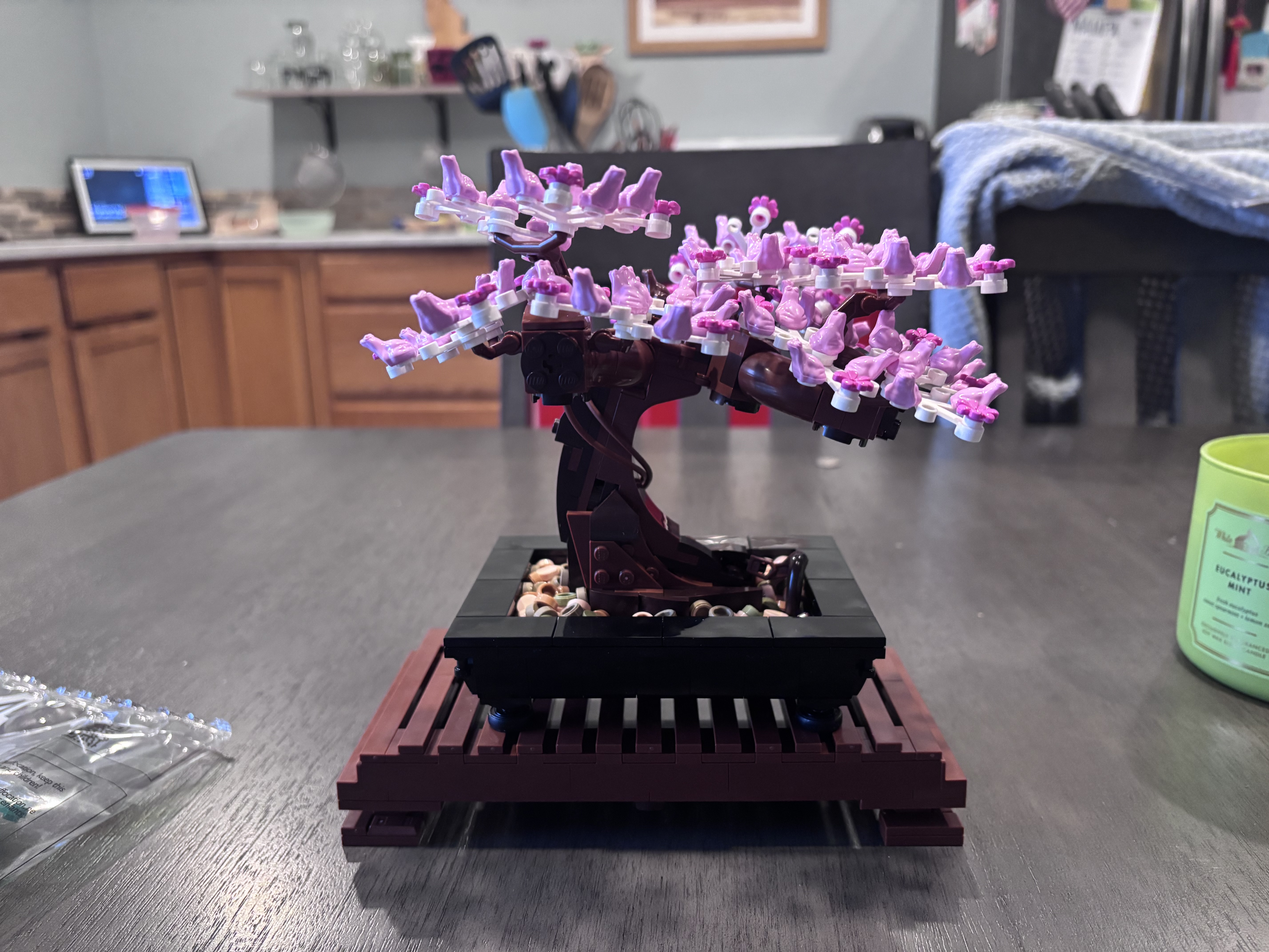 LEGO Botanicals Bonsai Tree 10281 Building Set | SCHEELS.com