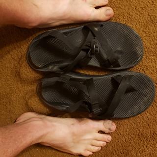 Chaco Men's Z/2 Classic Sandals - Closeout | NRS