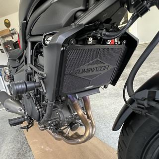 Puig Vintage 2.0 Frame Sliders For Indian FTR 1200/1200S 2019-2021 - Engine & Chassis Protection