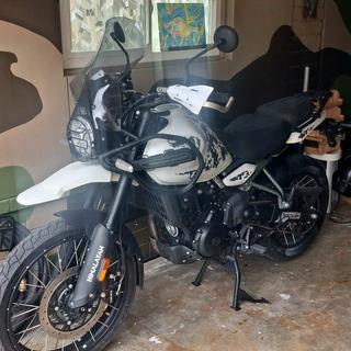Protege ain Pour Royal Enfield Hialayan À VENDRE! - PicClick FR
