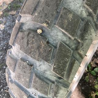 Dunlop Trailmax Raid Tires | JPCycles.com