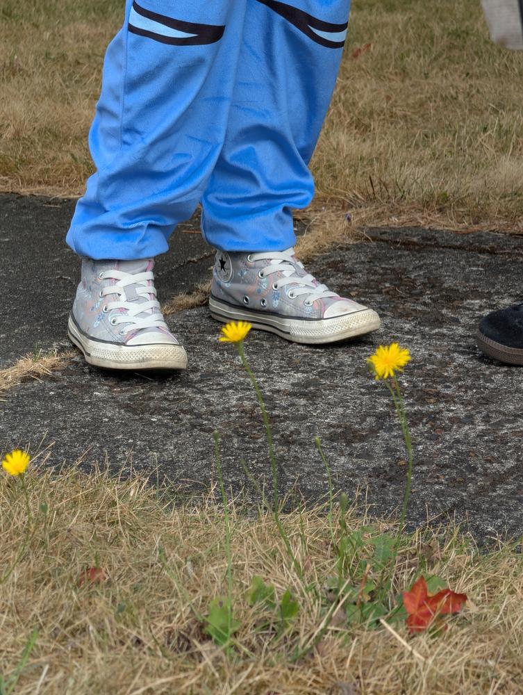 Our new "go-to" shoes!