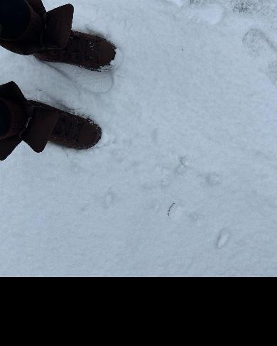 Best Stylish Winter Boots