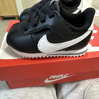 Enviado por MZ