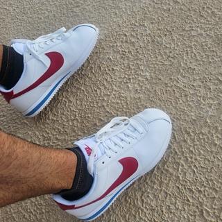 Enviado por Cesar55090262