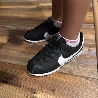 Enviado por Cortez