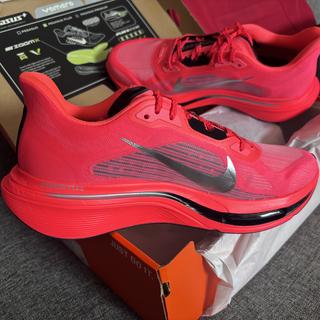 Enviado por JorgeAlberto263277205