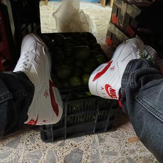 Enviado por Jesus584393433