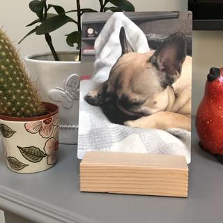 Submitted by Wendy G