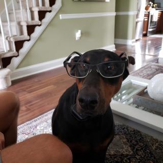 Submitted by James B