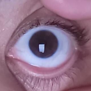 Submitted by Consuelo M
