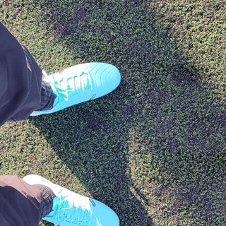 Submitted by KashF137757329