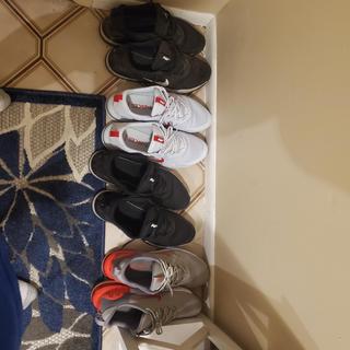 Submitted by Ernest