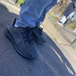 Submitted by Nike Pegasus