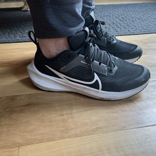 Submitted by NIKE AIR ZOOM PEGASUS 40 GS