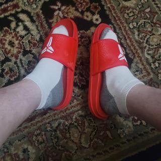 Submitted by ThomasF215617145