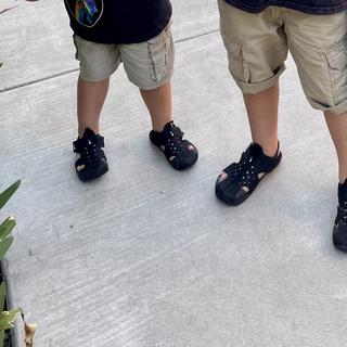 Submitted by C R
