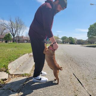 Submitted by Nike Cortez