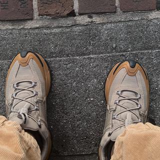 Submitted by Perfect sneaker