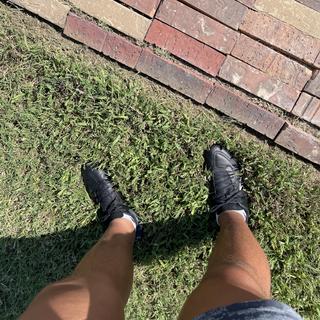 Submitted by O