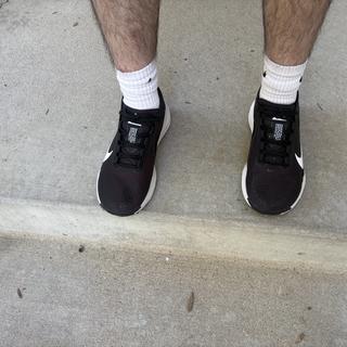 Submitted by Monbon