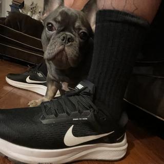 Submitted by JOGGER SET