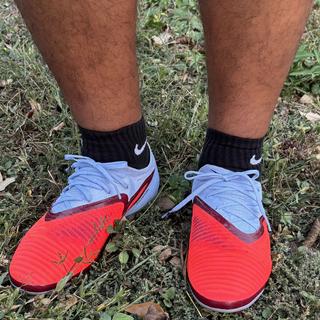 Submitted by Carlos