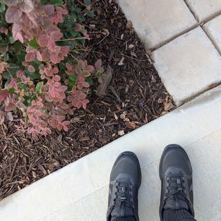 Submitted by Keri