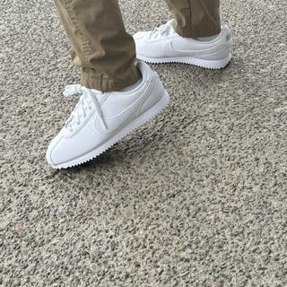Submitted by Chris