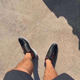 Submitted by Loyal
