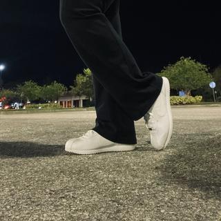 Submitted by Nick T