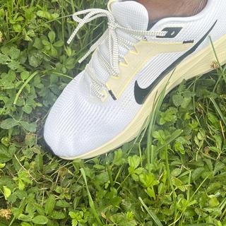 Submitted by Jackie N