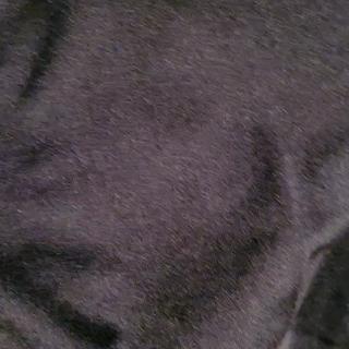 Submitted by Wendy B