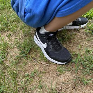 Submitted by Joey