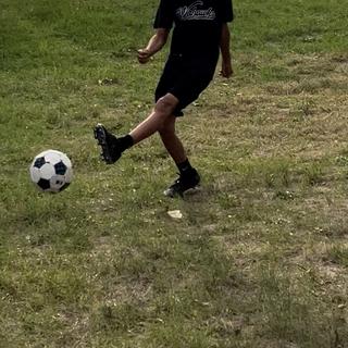 Submitted by Greg