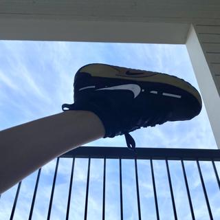 Submitted by Chloe