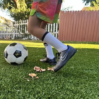 Submitted by Teo