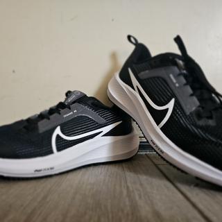 Submitted by Nike Pegasus 40