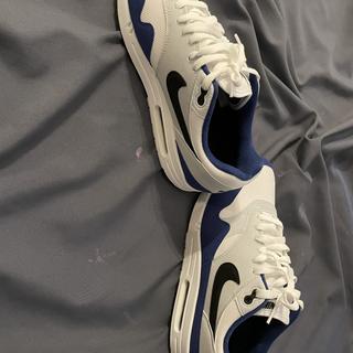 Submitted by Shoemaker