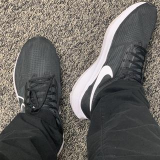 Submitted by dgibsz