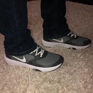 Submitted by Cpleviak