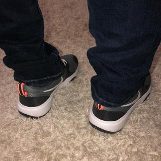 Submitted by Cpleviak