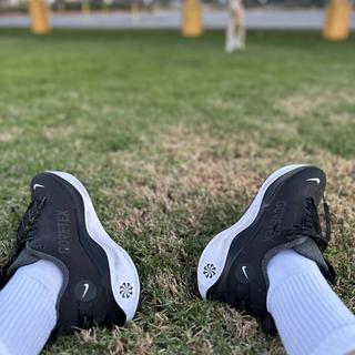 Submitted by Alex