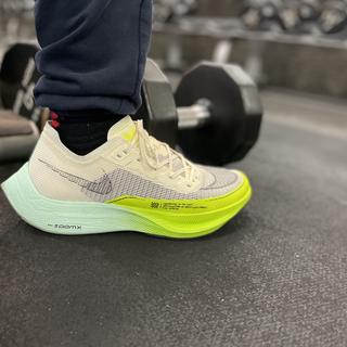 Submitted by ACG mountain fly 2 low