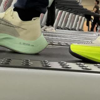 Submitted by ACG mountain fly 2 low