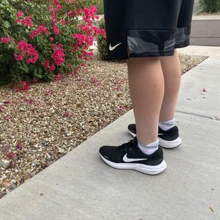 Submitted by Moonie