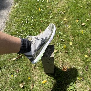 Submitted by Miguel934352735