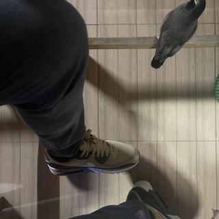 Submitted by Shahferdous609013920
